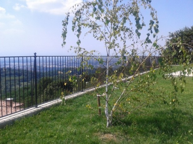Villaggio San Martino - Castiglione Torinese